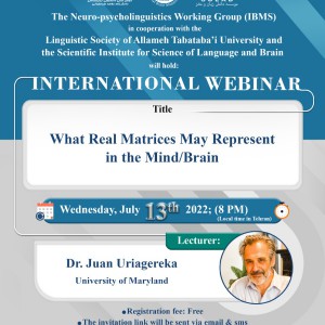 What Real Matrices May Represent in the Mind/Brain Webinar